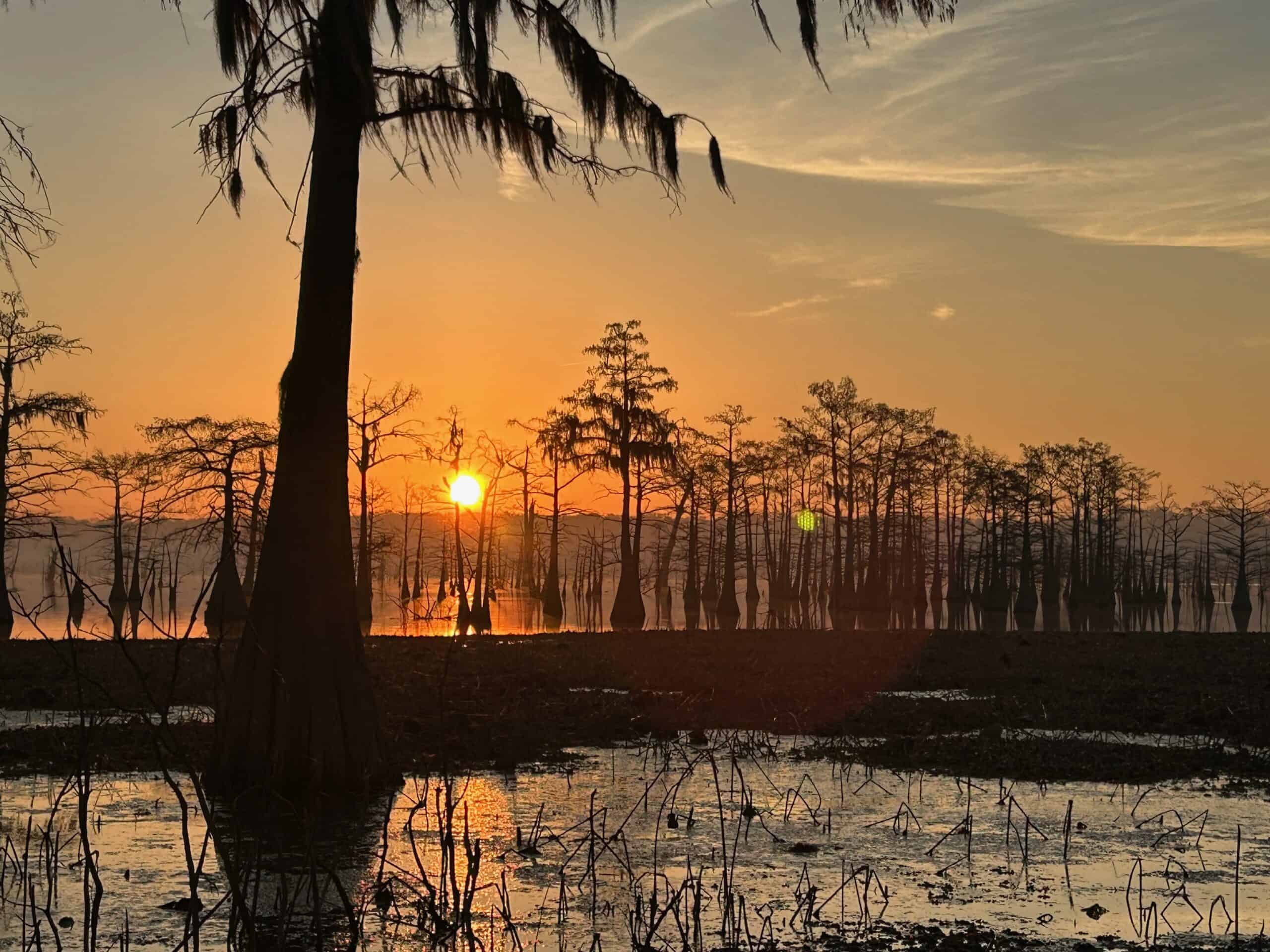 88 Acre Hunting Property – Wilkinson County, MS