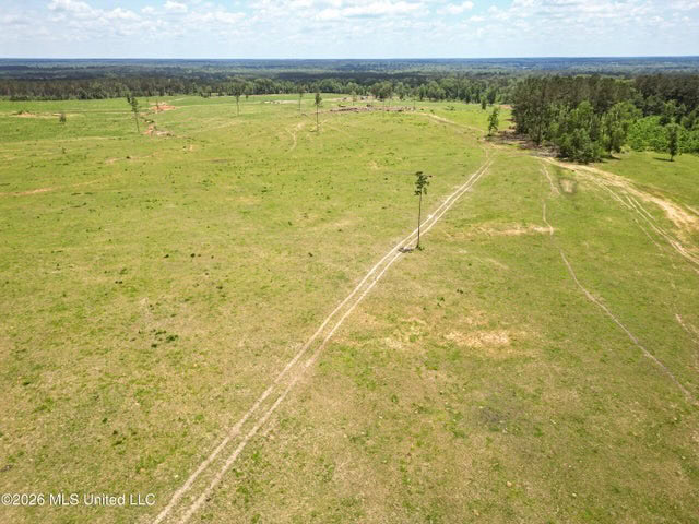 Pasture Land for Sale in Lincoln County, MS