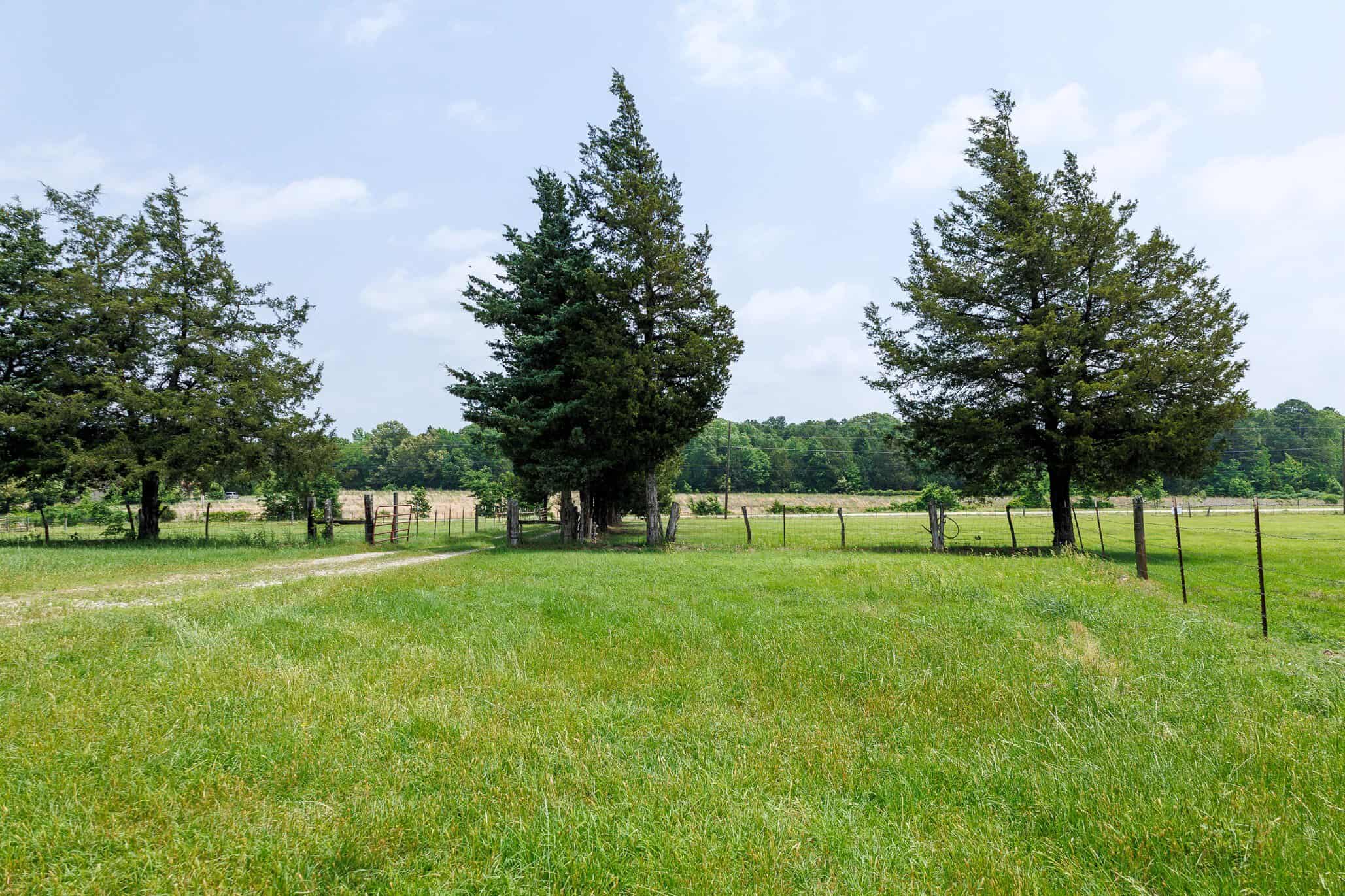 47.79-Acre Hunting Land with Cabin for Sale Ben Wheeler TX