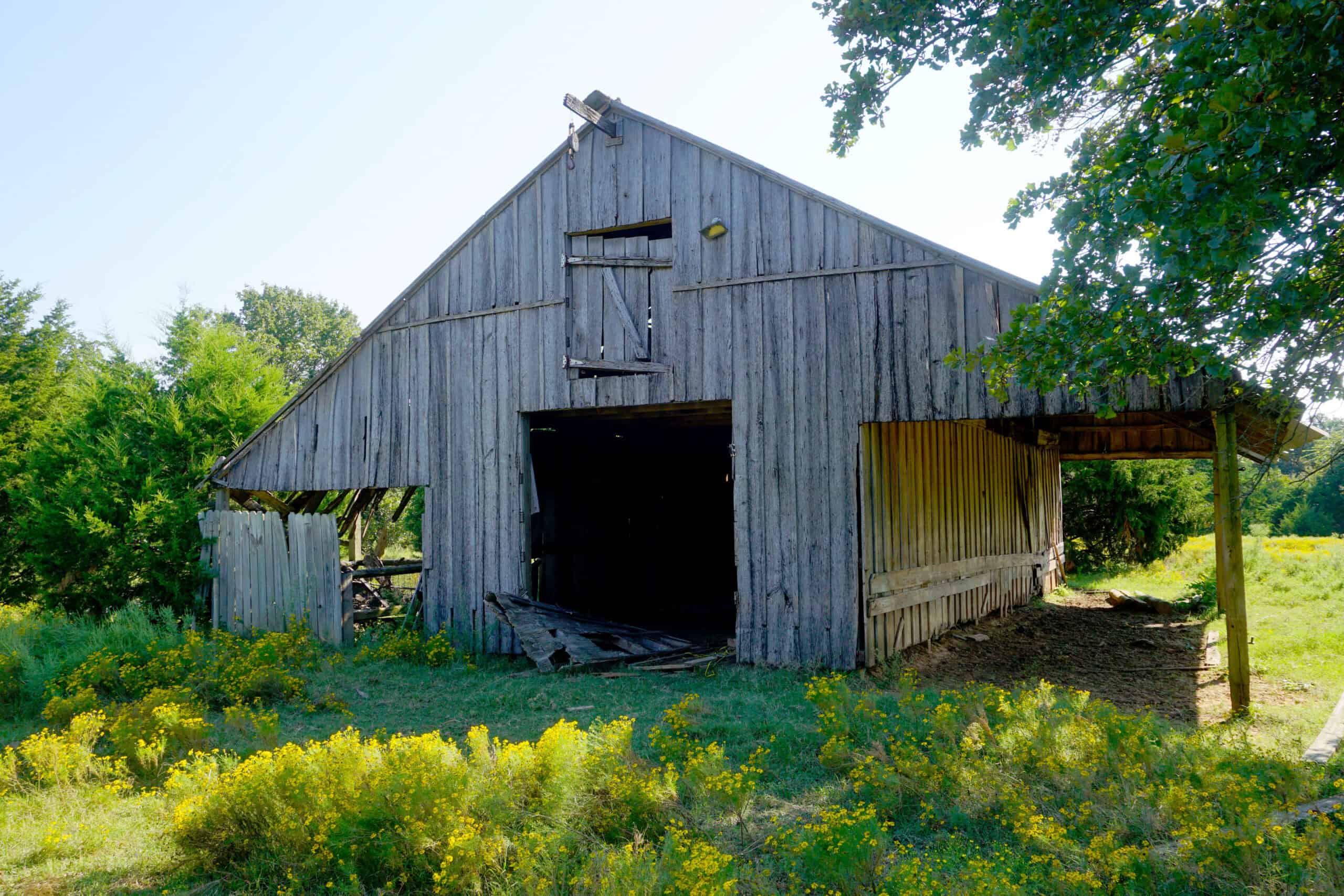20 Acres +/- in Lincoln County For Sale