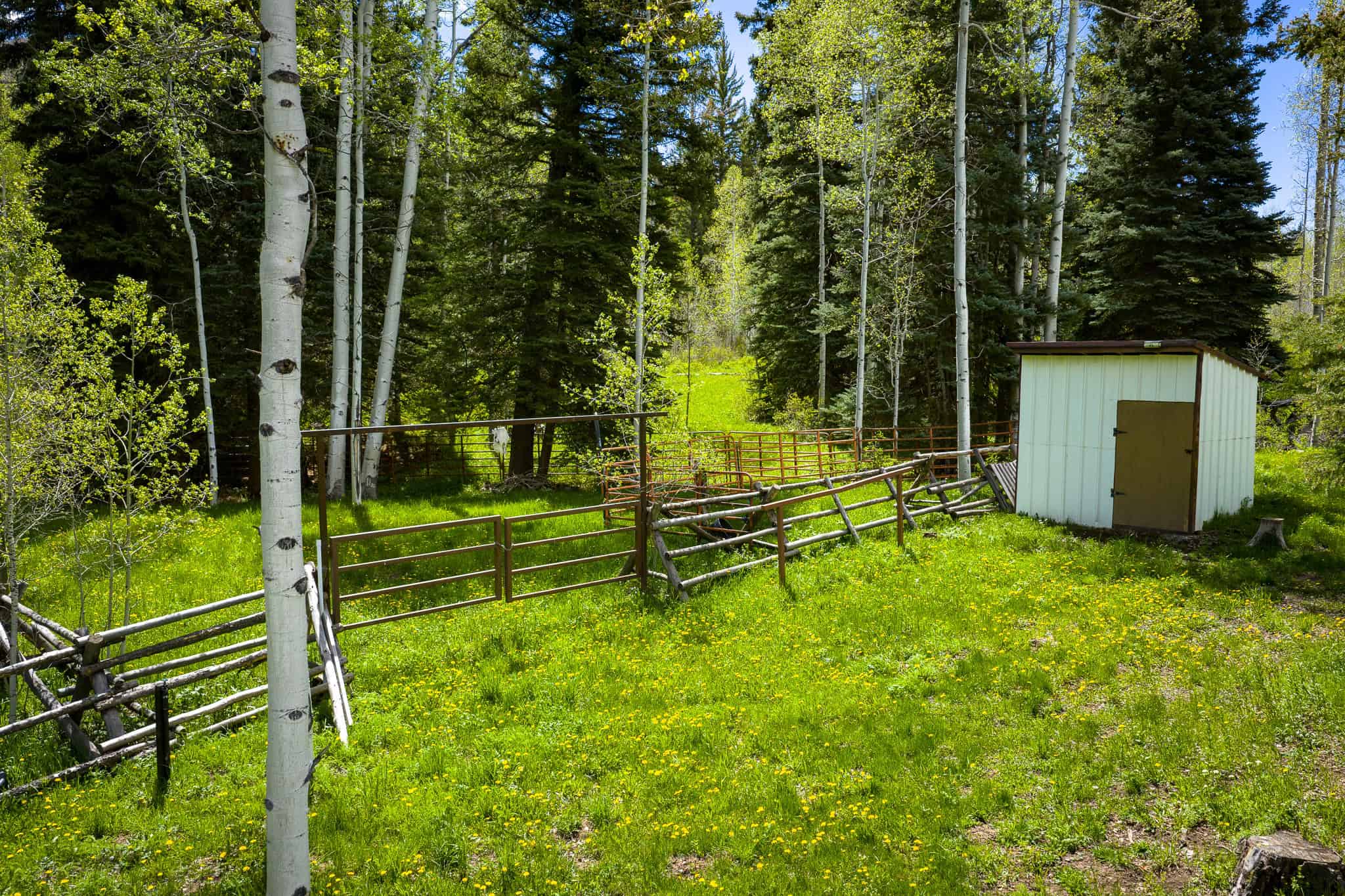 Colorado Mountain Hunting Retreat Surrounded By Thousands of Acres of Public Land in Garfield County With Low Flowing Creek and Multiple Cabins and Lodge