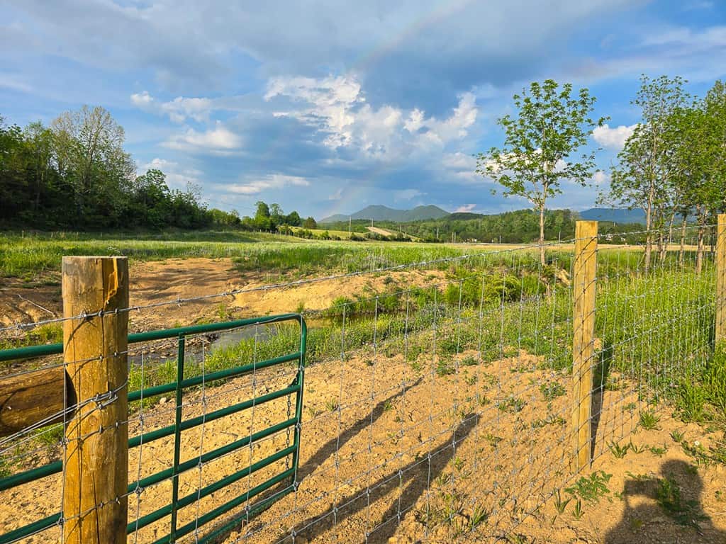 Big Hill: A Hunter’s Paradise with Mountain Views