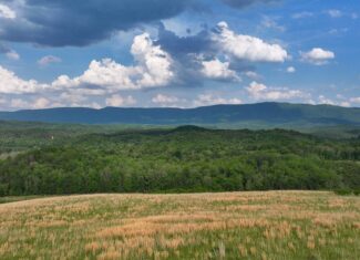 Big Hill: A Hunter’s Paradise with Mountain Views