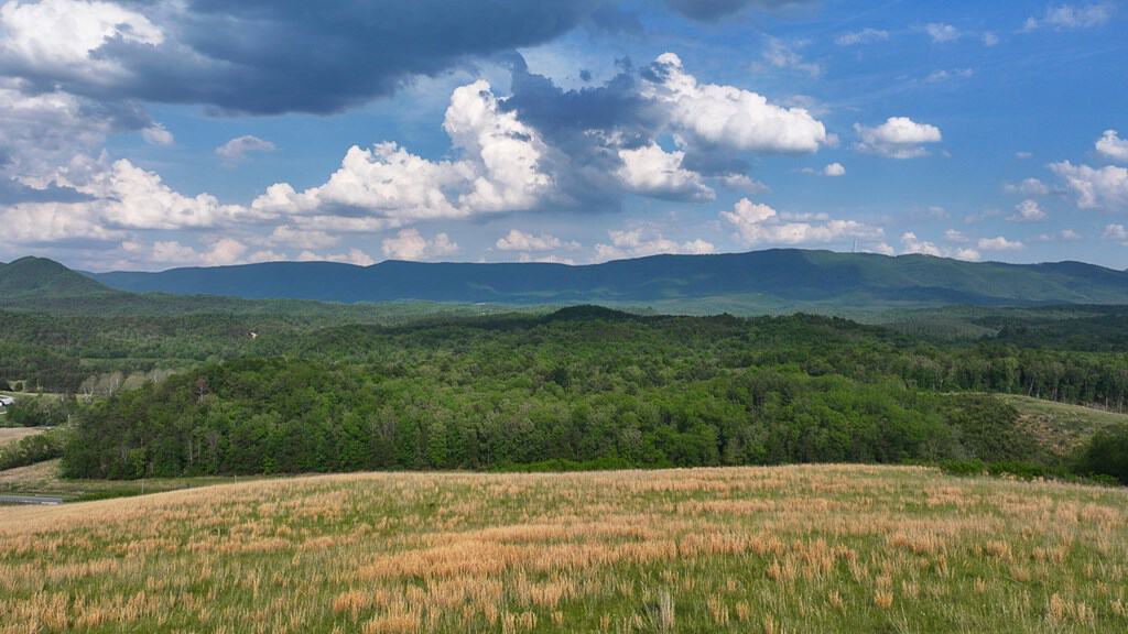 Big Hill: A Hunter’s Paradise with Mountain Views