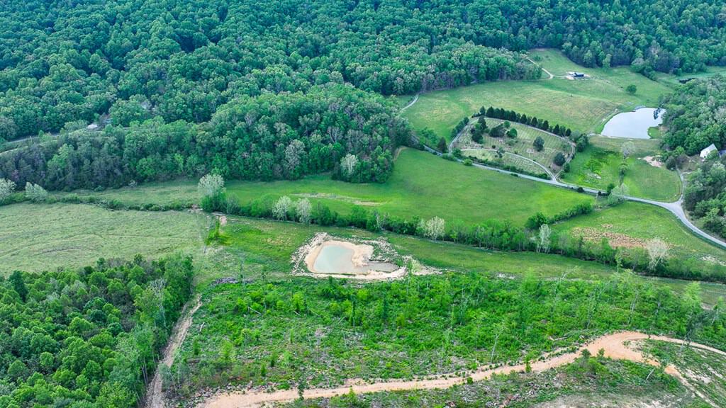 Big Hill: A Hunter’s Paradise with Mountain Views