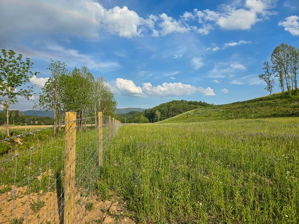 Big Hill: A Hunter’s Paradise with Mountain Views
