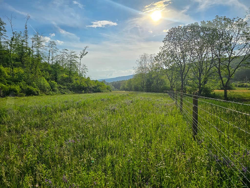 Big Hill: A Hunter’s Paradise with Mountain Views