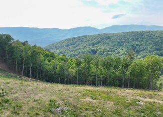 Big Hill: A Hunter’s Paradise with Mountain Views