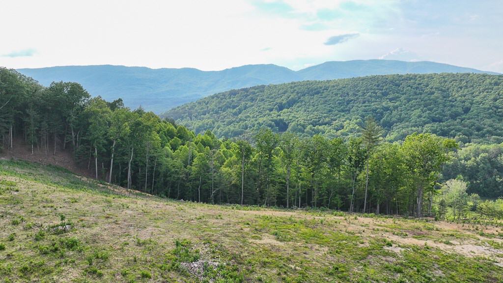 Big Hill: A Hunter’s Paradise with Mountain Views