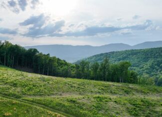 Big Hill: A Hunter’s Paradise with Mountain Views