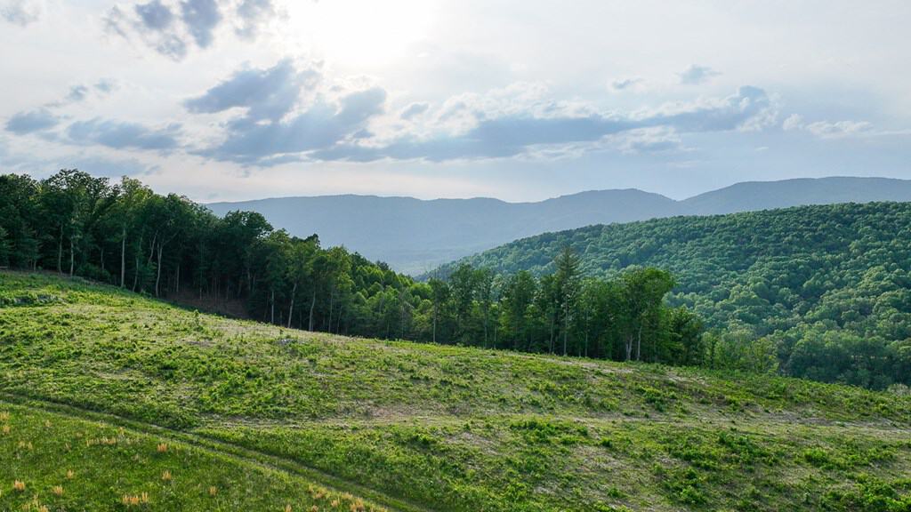 Big Hill: A Hunter’s Paradise with Mountain Views