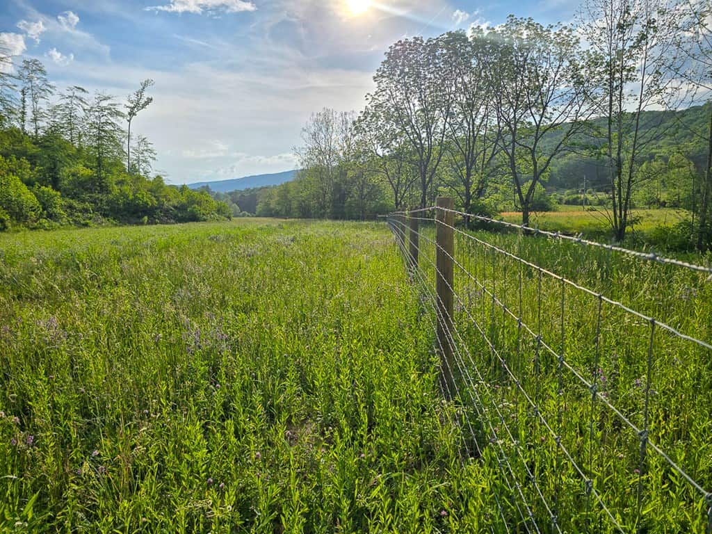 Big Hill: A Hunter’s Paradise with Mountain Views