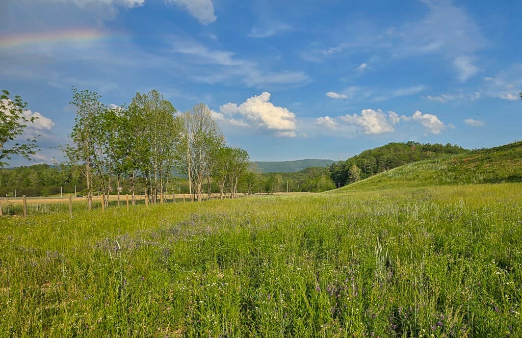 Big Hill: A Hunter’s Paradise with Mountain Views