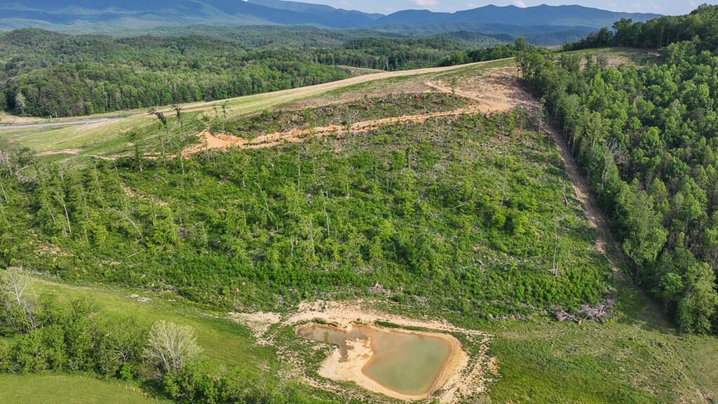 Big Hill: A Hunter’s Paradise with Mountain Views