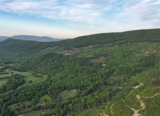BIG ACREAGE, TRAILS, WILDLIFE!