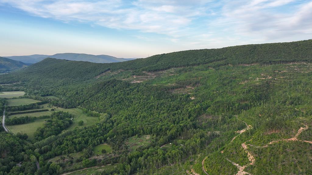 BIG ACREAGE, TRAILS, WILDLIFE!
