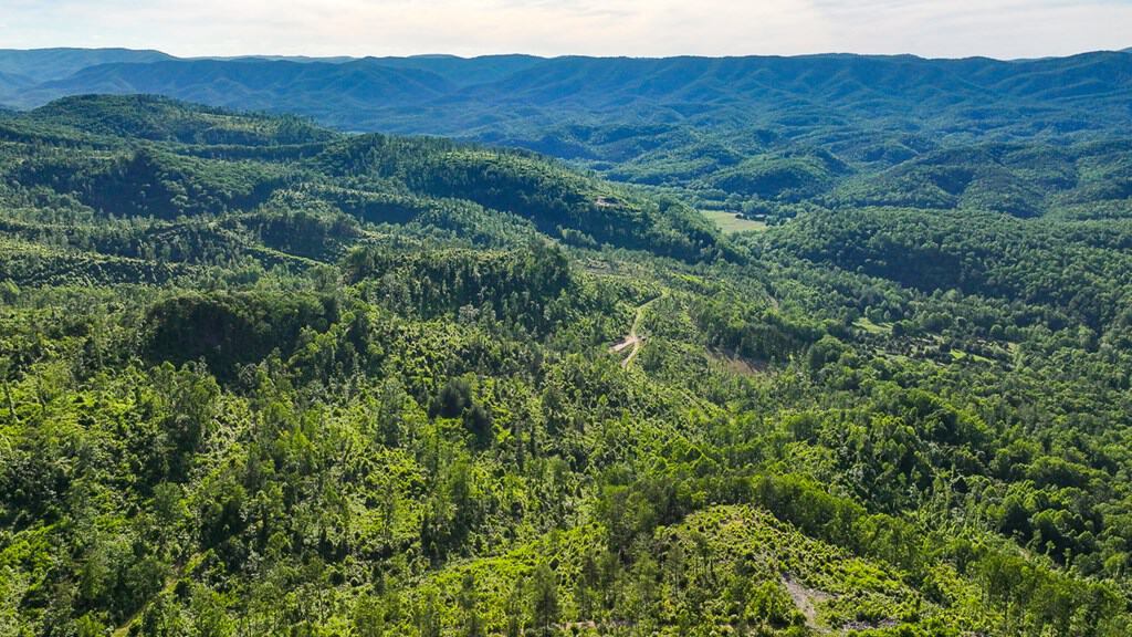 BIG ACREAGE, TRAILS, WILDLIFE!