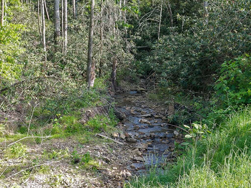 BIG ACREAGE, TRAILS, WILDLIFE!