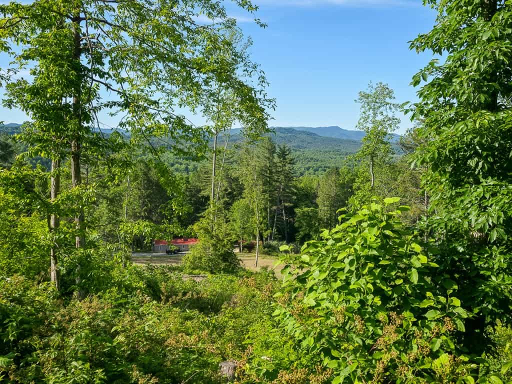 BIG ACREAGE, TRAILS, WILDLIFE!