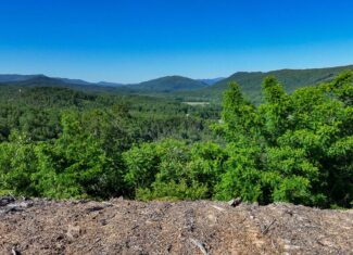 BIG ACREAGE, TRAILS, WILDLIFE!