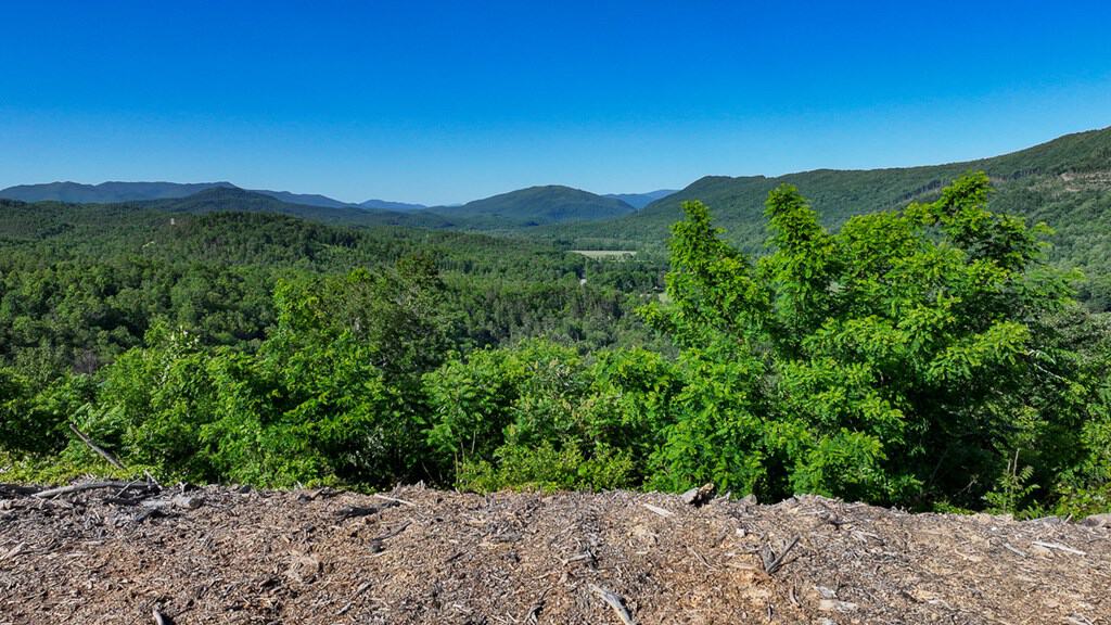BIG ACREAGE, TRAILS, WILDLIFE!