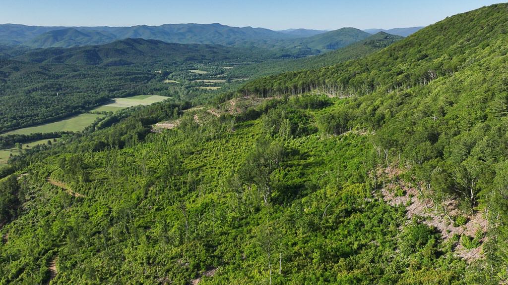 BIG ACREAGE, TRAILS, WILDLIFE!