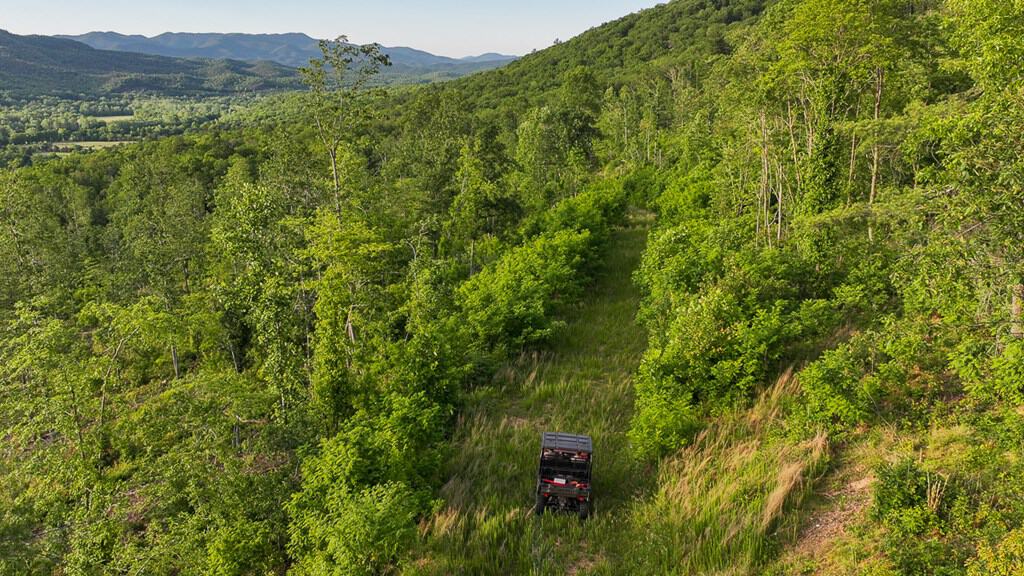 BIG ACREAGE, TRAILS, WILDLIFE!