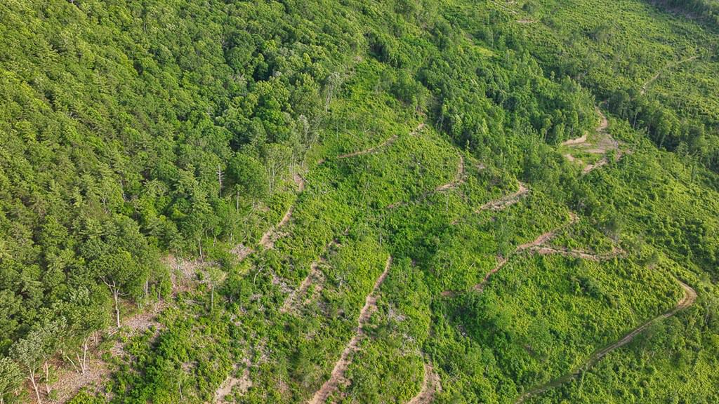 BIG ACREAGE, TRAILS, WILDLIFE!