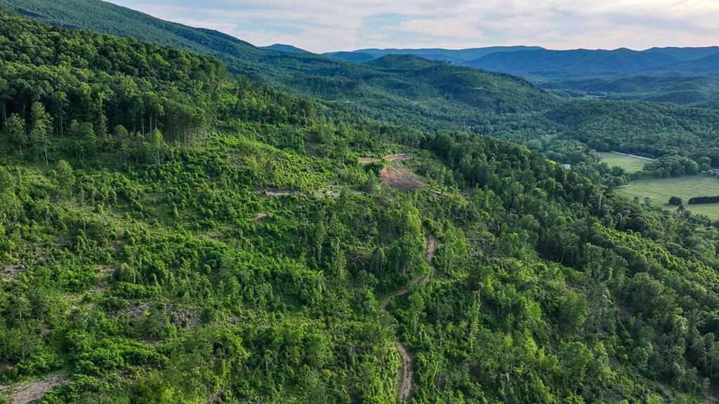 BIG ACREAGE, TRAILS, WILDLIFE!