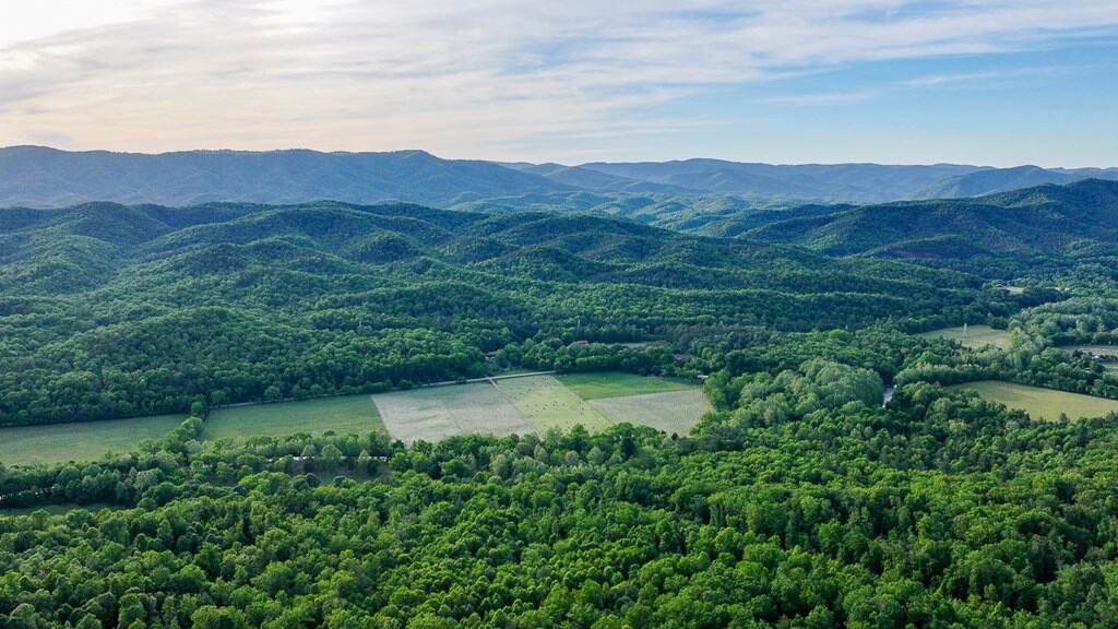 BIG ACREAGE, TRAILS, WILDLIFE!