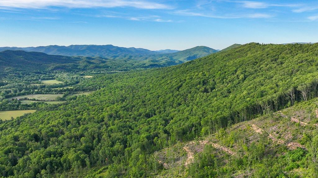 BIG ACREAGE, TRAILS, WILDLIFE!