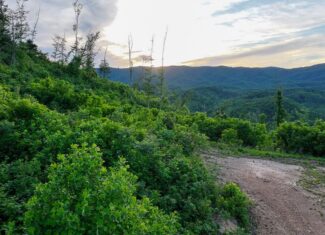 BIG ACREAGE, TRAILS, WILDLIFE!