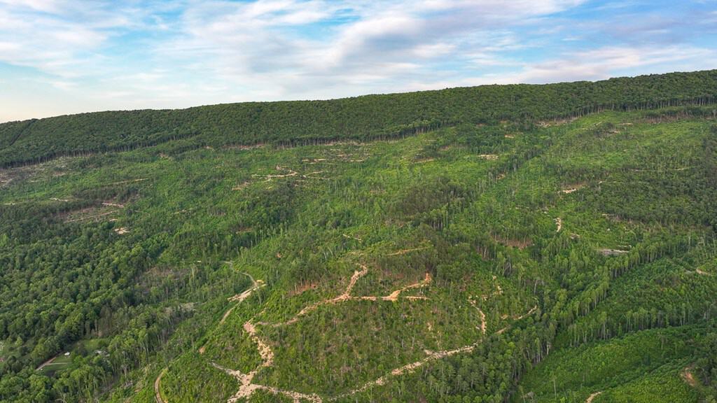BIG ACREAGE, TRAILS, WILDLIFE!