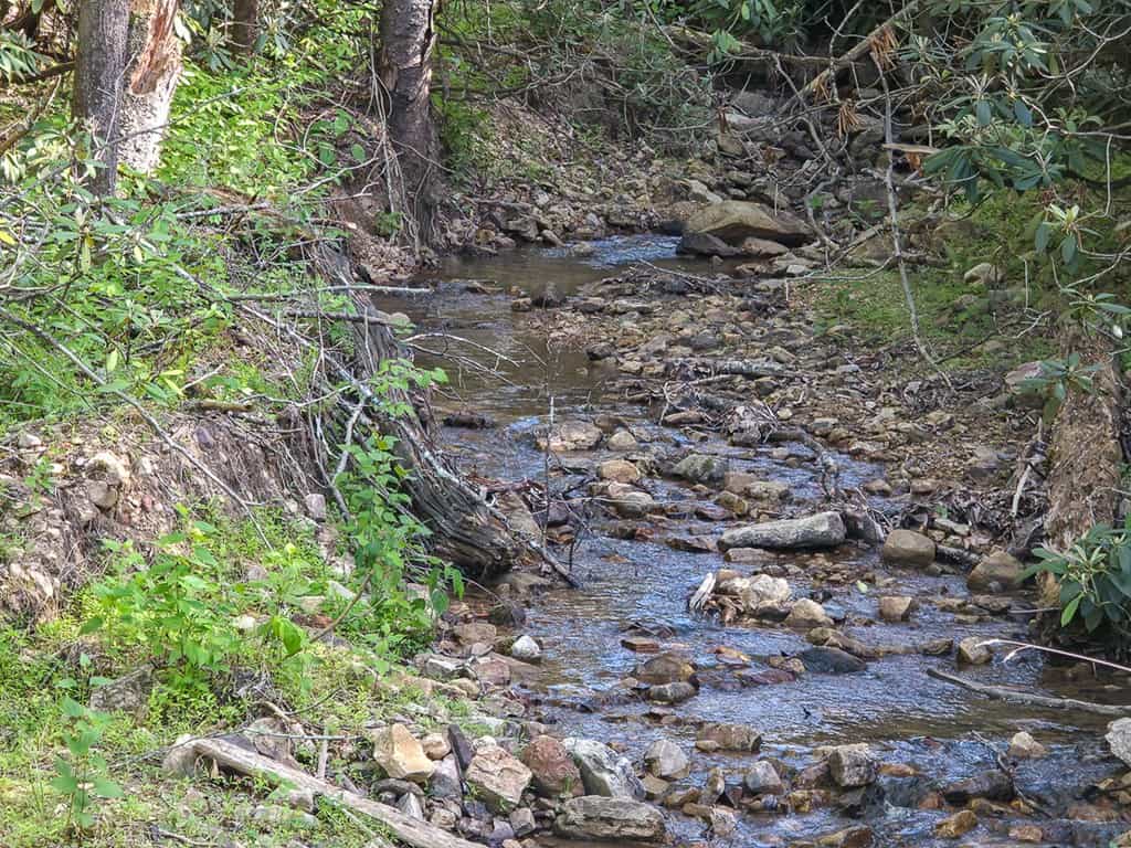 BIG ACREAGE, TRAILS, WILDLIFE!