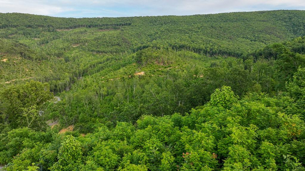 BIG ACREAGE, TRAILS, WILDLIFE!
