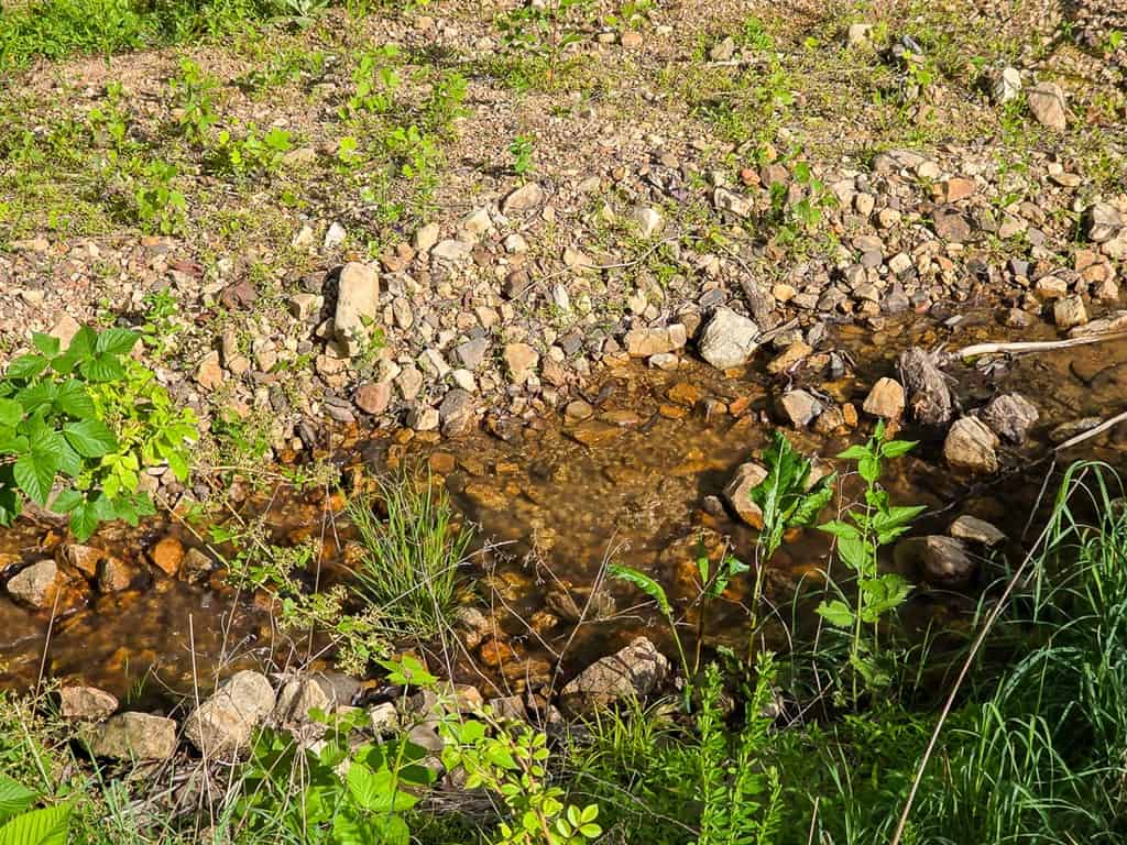 BIG ACREAGE, TRAILS, WILDLIFE!