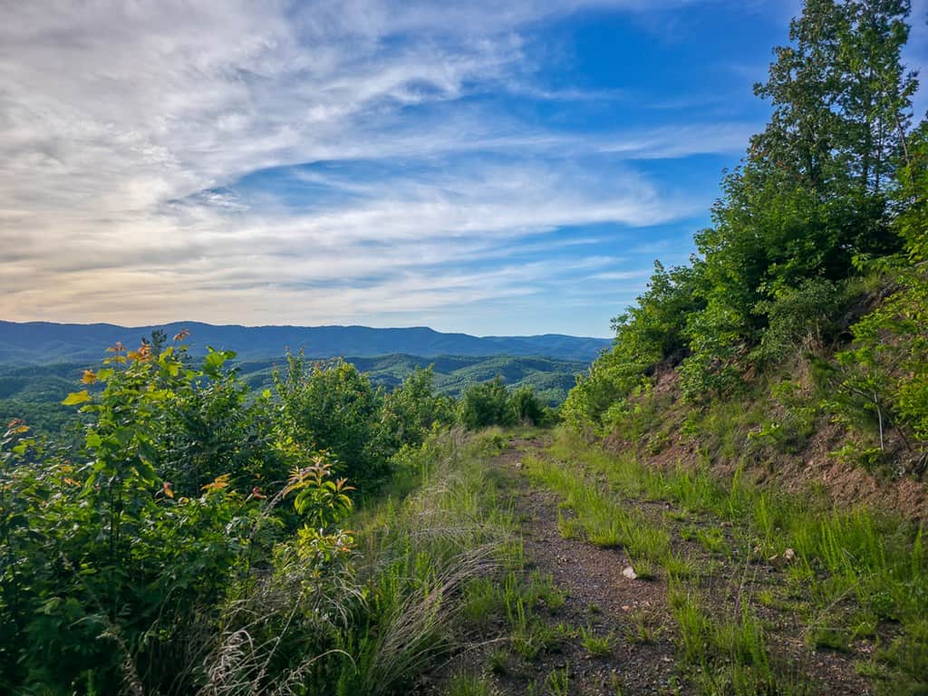 BIG ACREAGE, TRAILS, WILDLIFE!