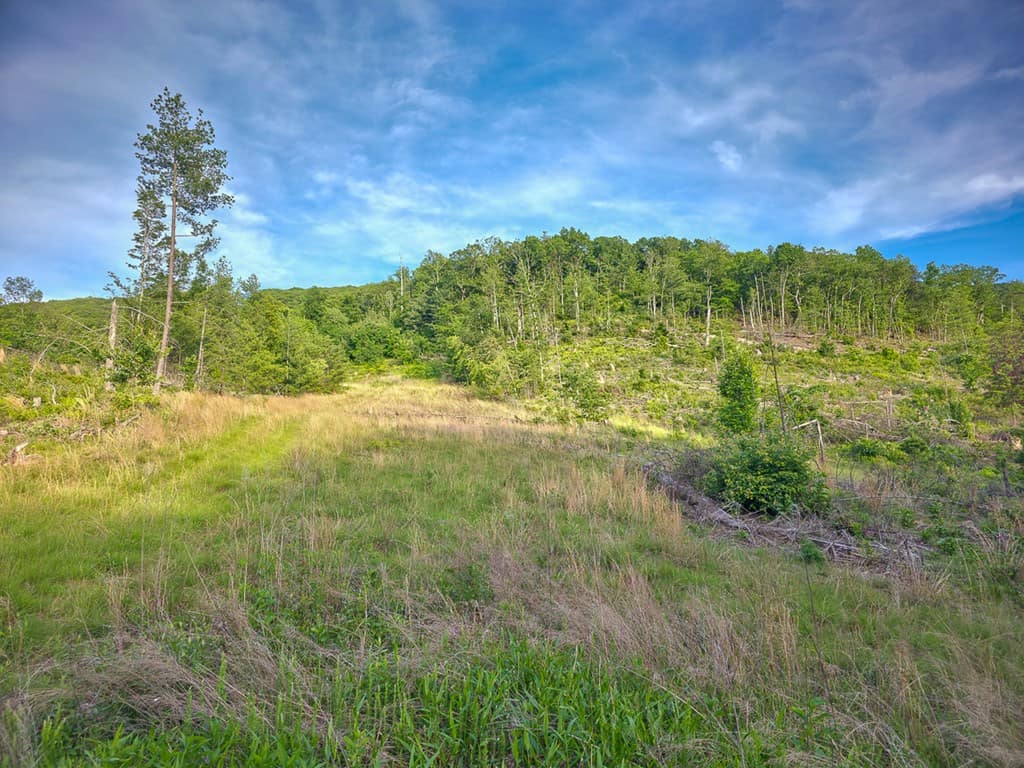 BIG ACREAGE, TRAILS, WILDLIFE!