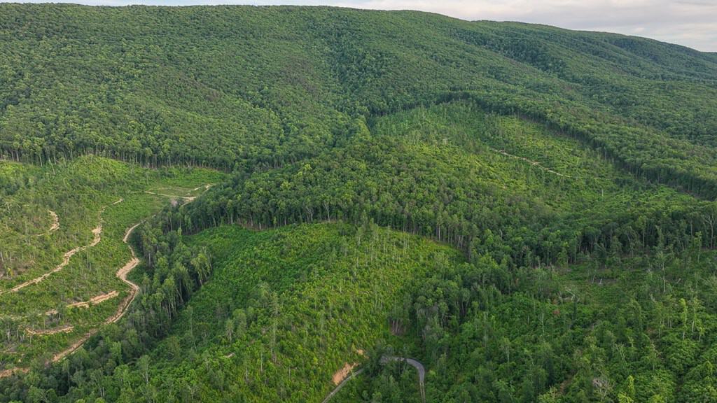 BIG ACREAGE, TRAILS, WILDLIFE!