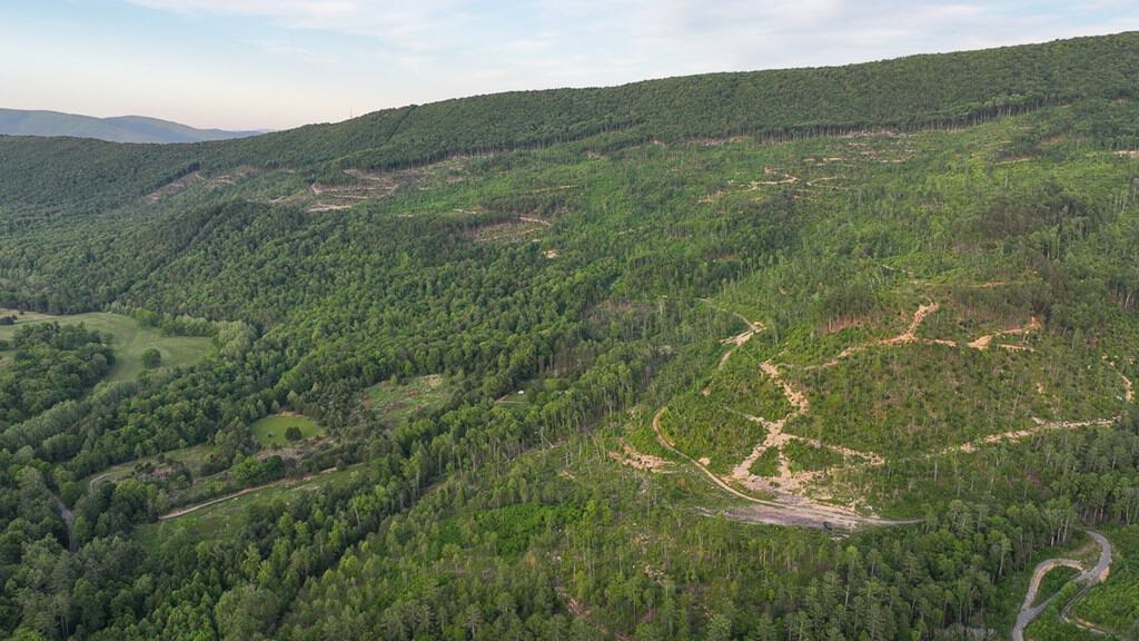 BIG ACREAGE, TRAILS, WILDLIFE!