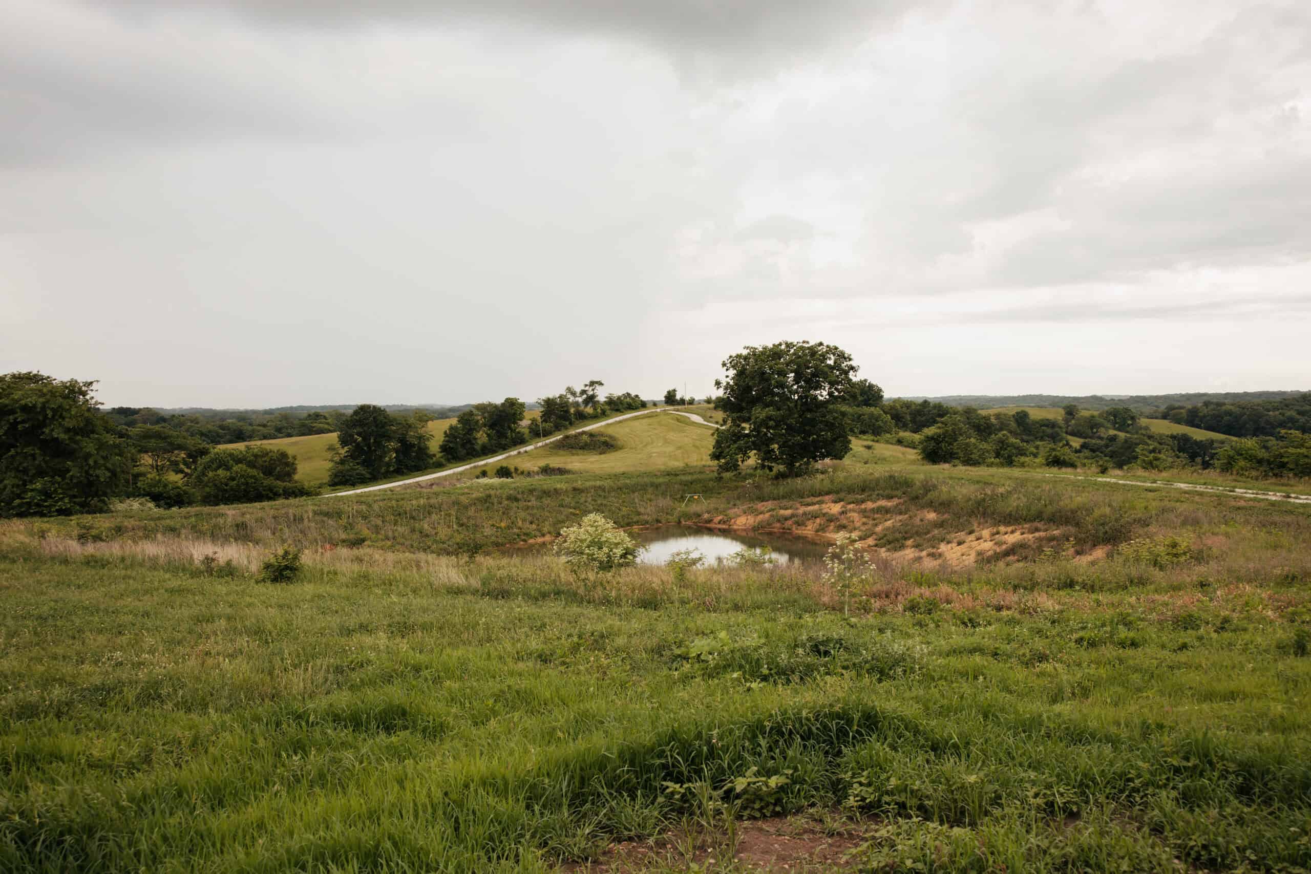 80± acres • Southern Scotland County, MO • Hunting with Income