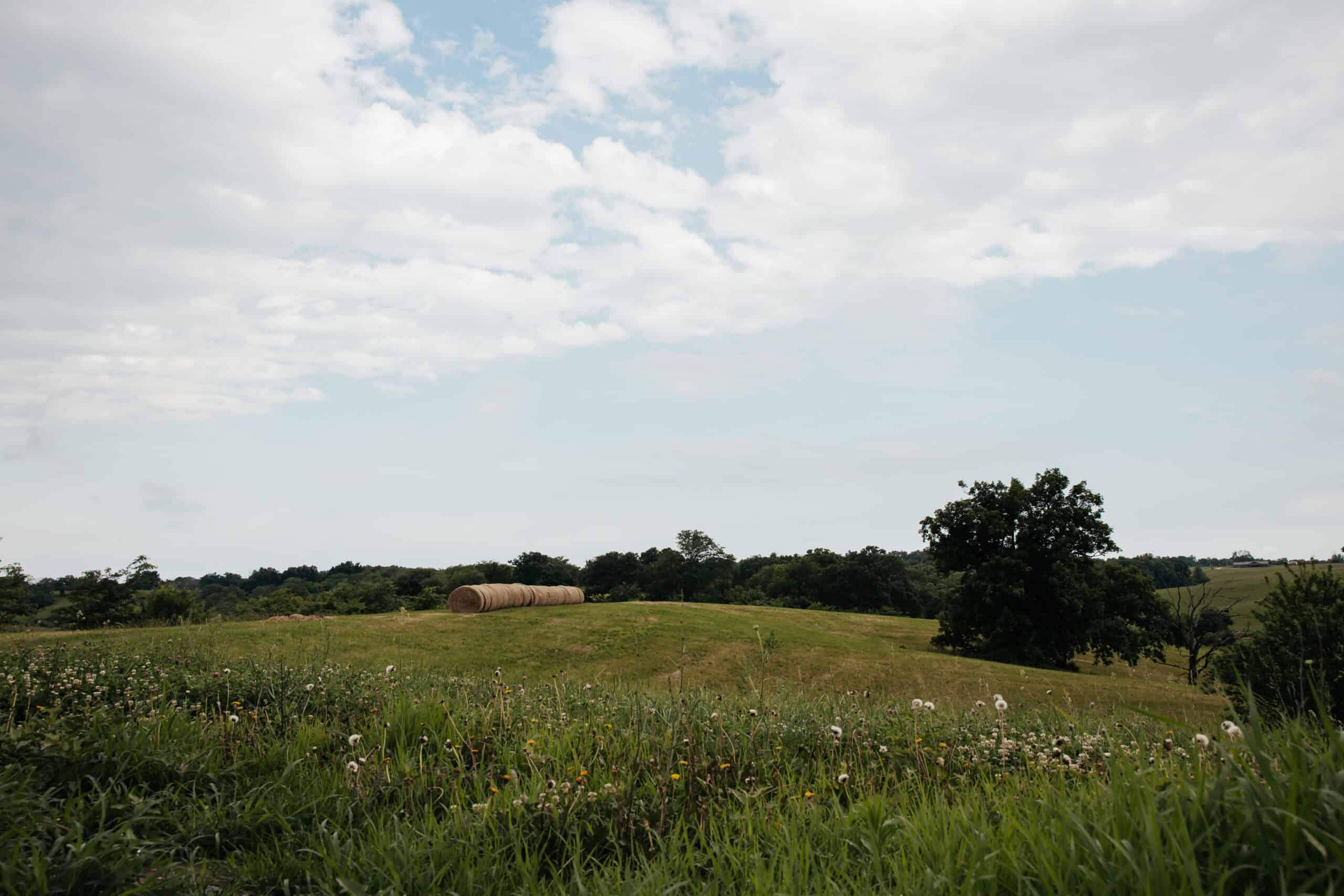 80± acres • Southern Scotland County, MO • Hunting with Income