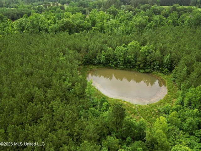 Land for Sale in Brookhaven, MS