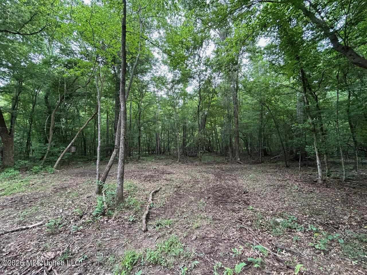 120± Acres for Sale in Osyka, MS on Tickfaw River