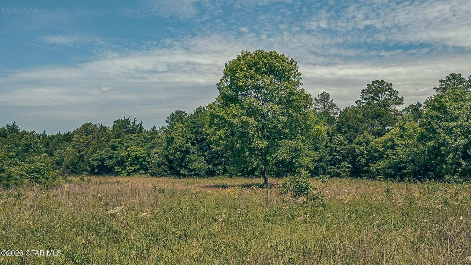 527 Acres Black Belt Prairie Clay County MS
