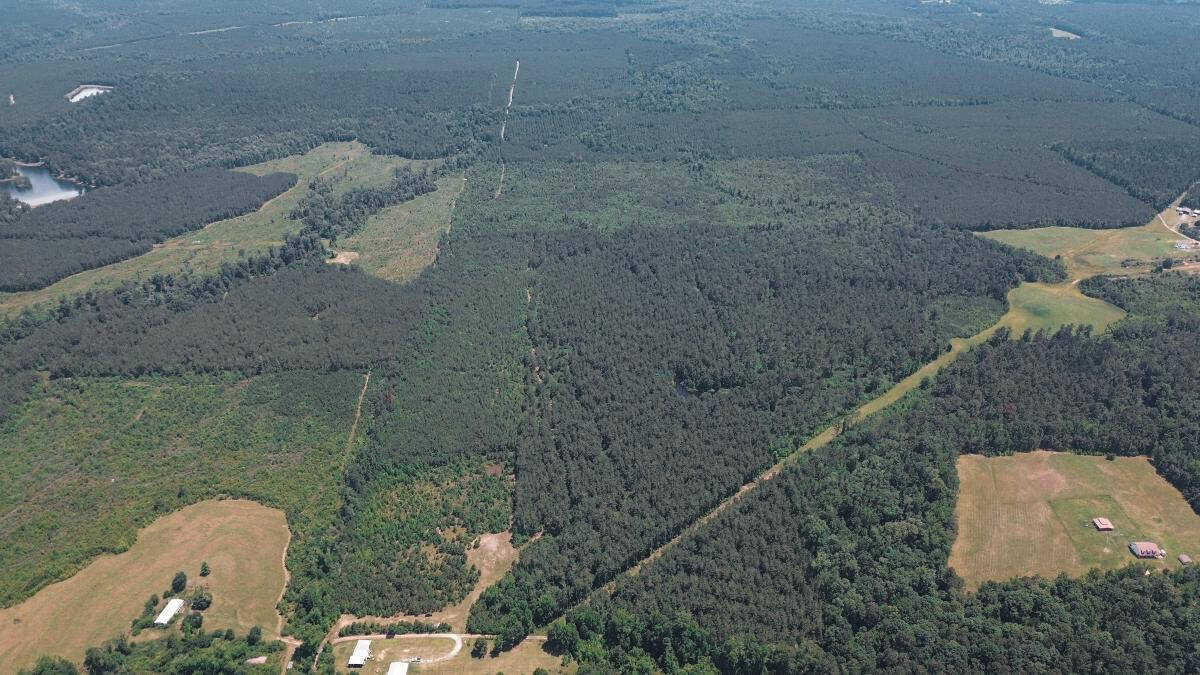 Weston 112 – Timber & Hunting Land in Jackson Parish, LA