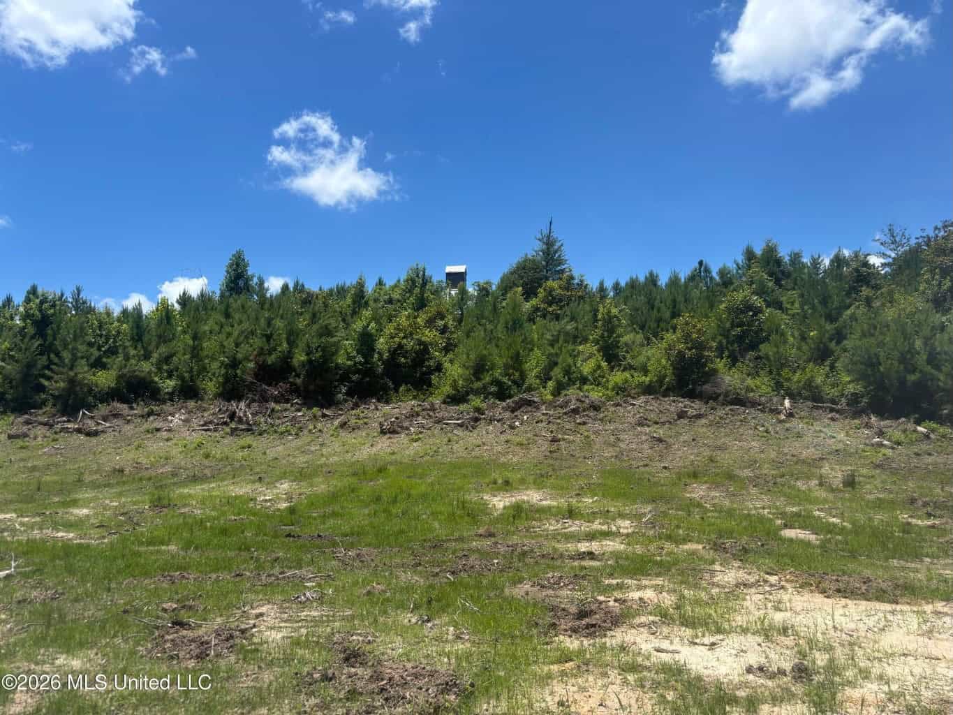 Wilkinson County MS Hunting Land for Sale