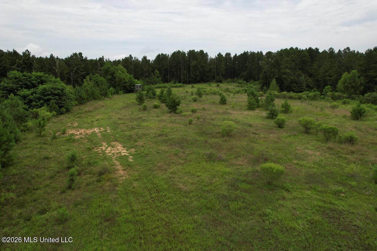 Crosby, MS Hunting Land by Homochitto National Forest