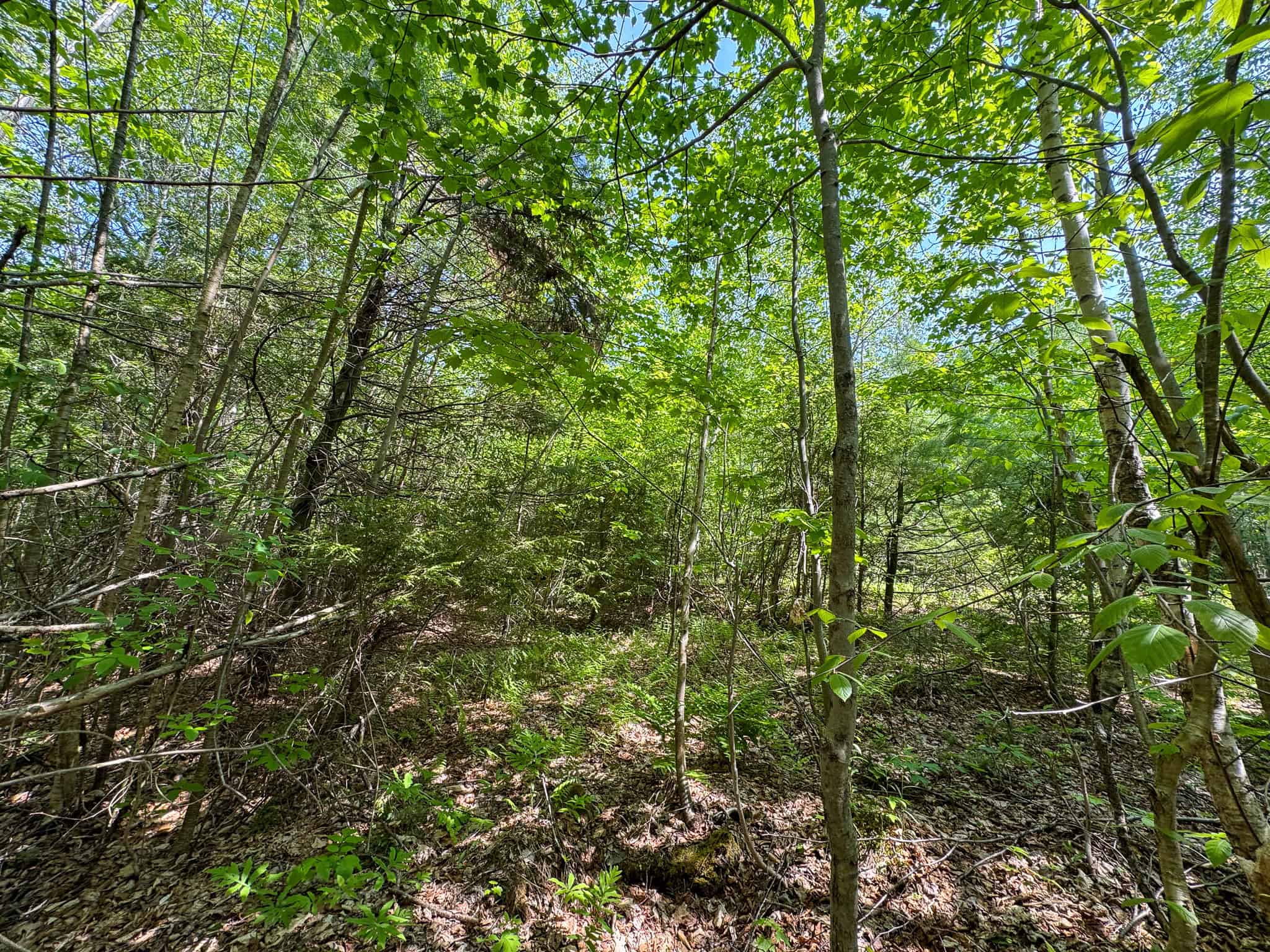 Large Land Parcel – 100 Acres in Maxfield, Maine