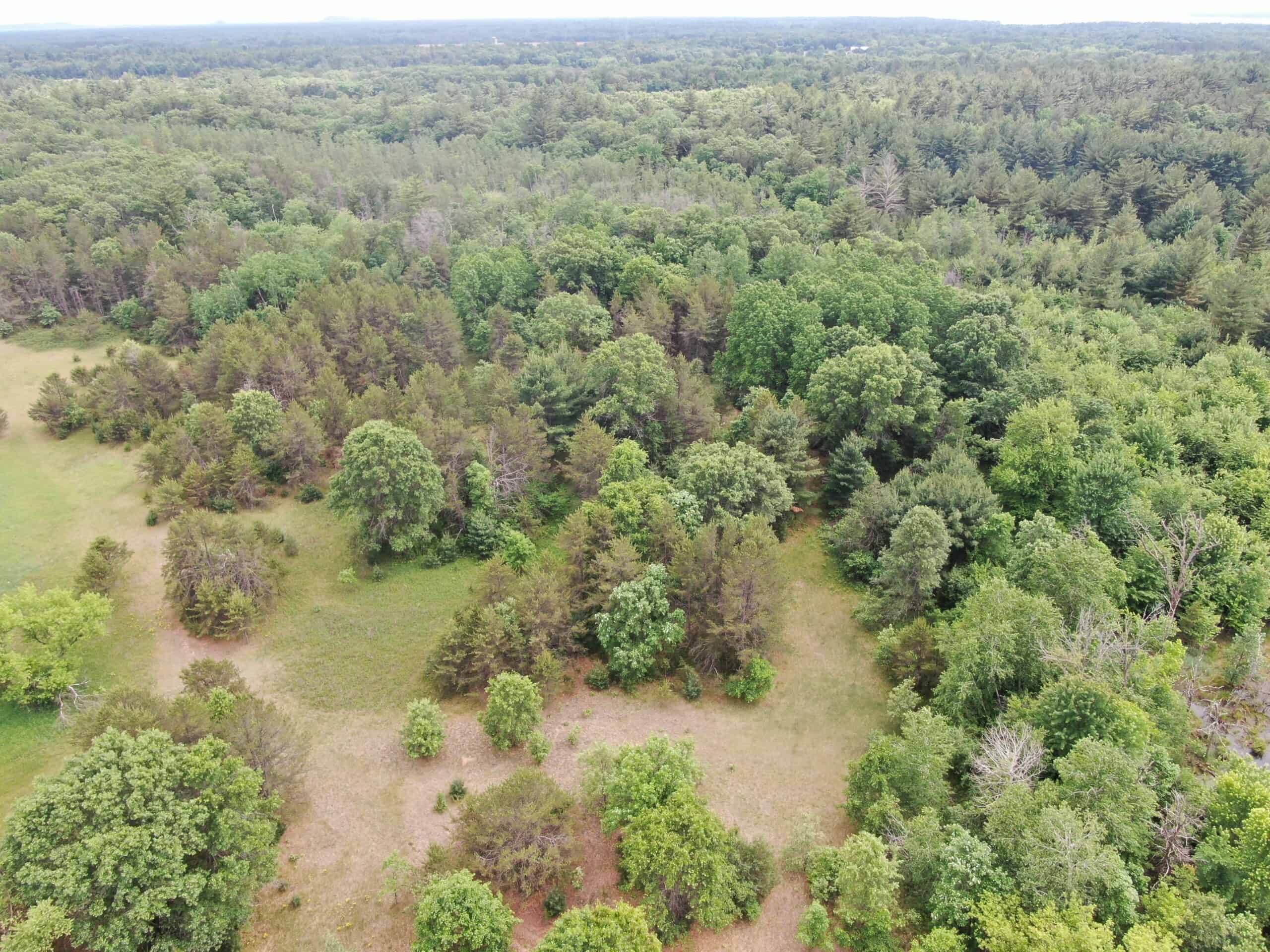 Forty acres in Adams County located in the Town of Strongs Prairie